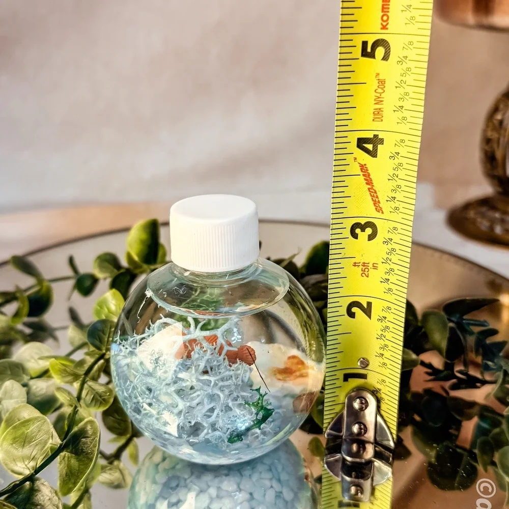 Mini Round Diy Aquarium